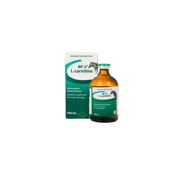 l carnitine veterinary use L-CARNITINE 100ML INJECTION L-Carnitine 100ml Injection