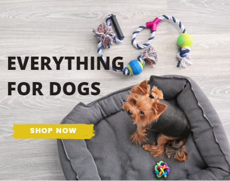 Petsleisure