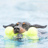 KONG AirDog® Bone Large Kong