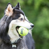 SqueakAir® Balls Medium Kong
