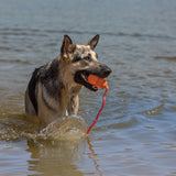 KONG® Aqua Medium Kong