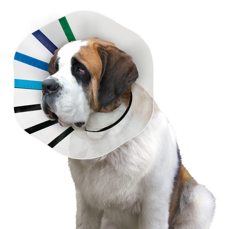 KONG E-Collar EZ Clear™ XXL KONG