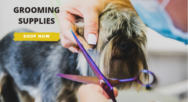 Petsleisure