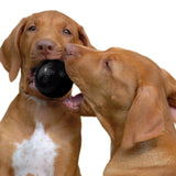 KONG® Extreme Ball Medium/Large Kong