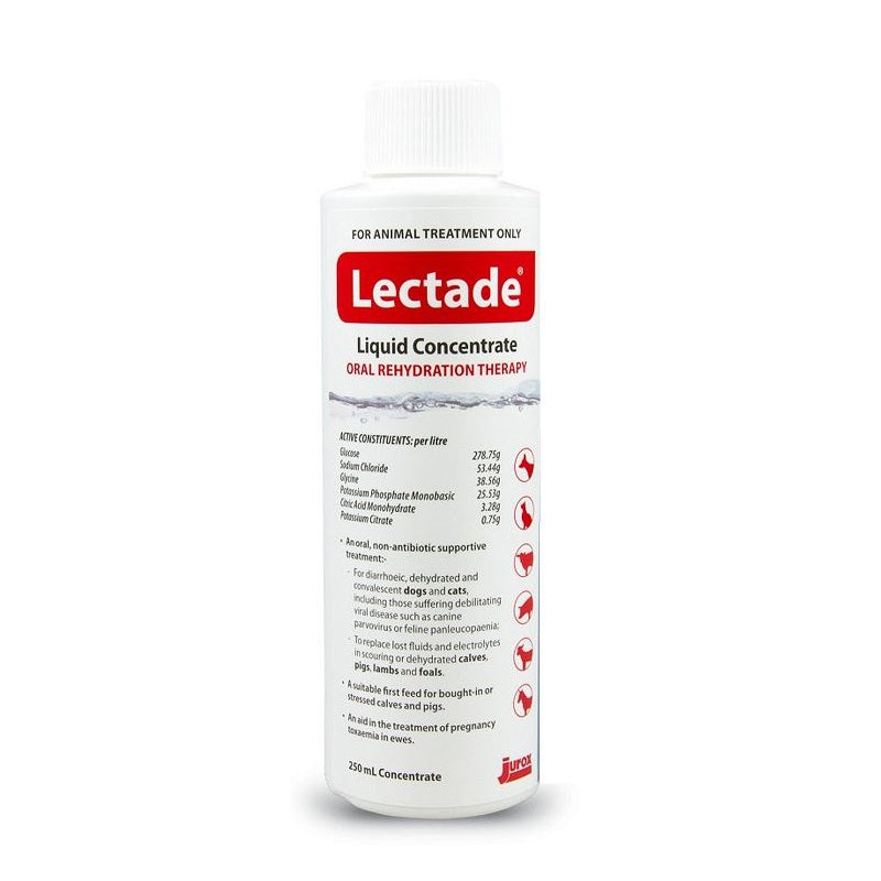 Lectade Concentrate Oral Rehydration Therapy For Dogs, Cats And Other Farm Animals (250ml) Lectade