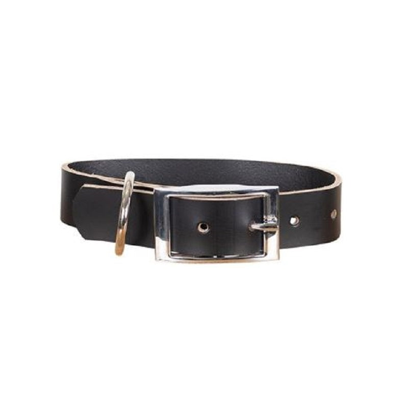 Petsleisure Pet Collars & Harnesses