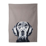 Petsleisure Kitchen Towels