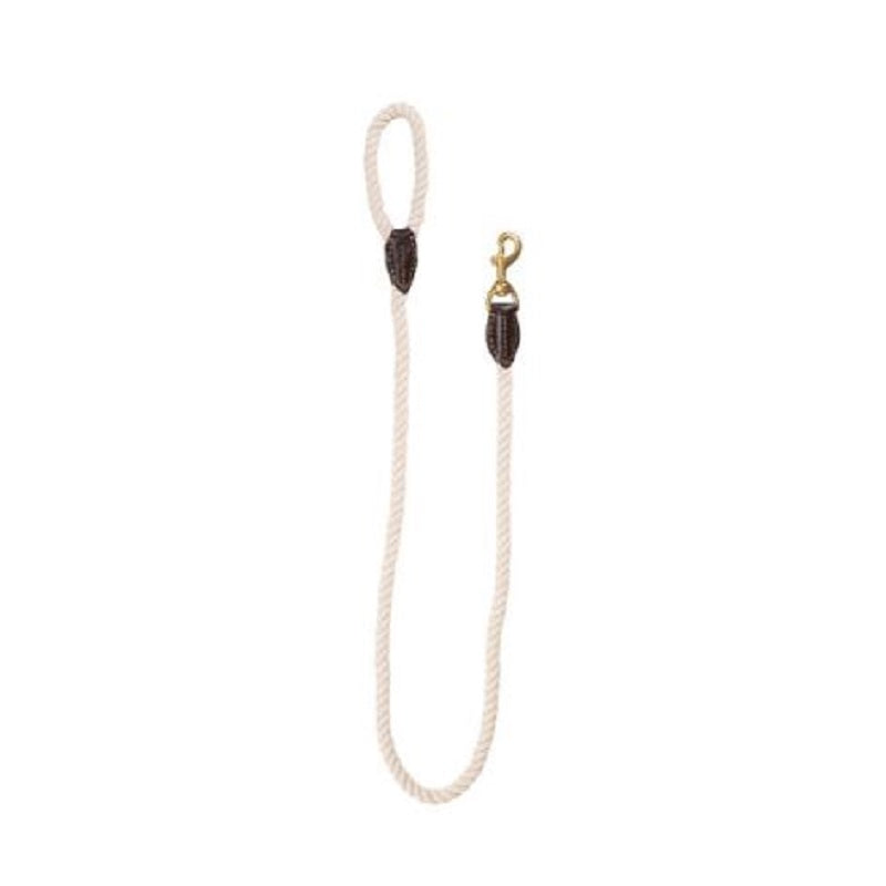 Petsleisure Pet Leashes