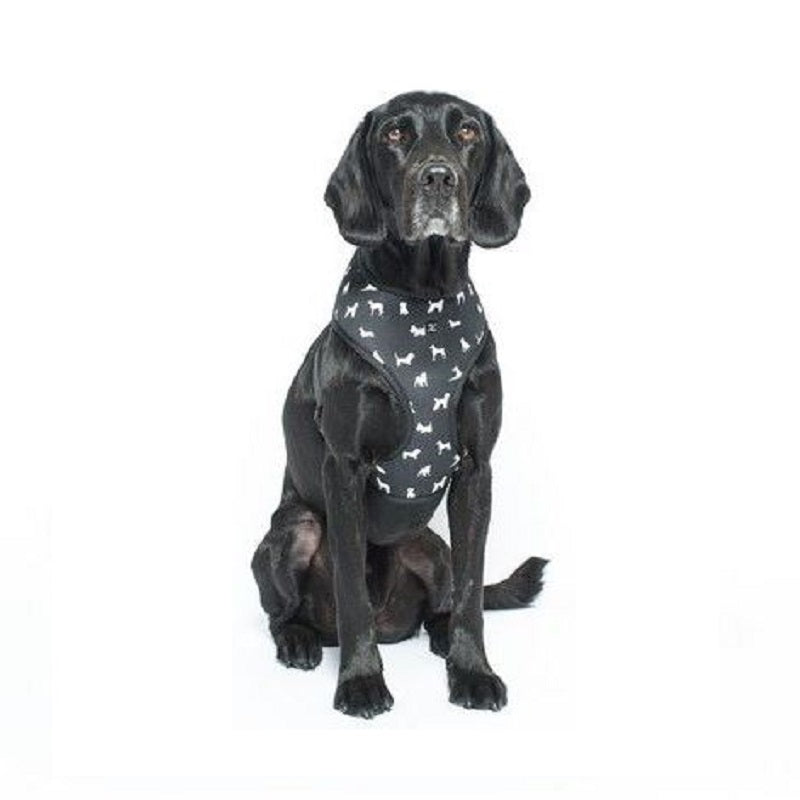 Petsleisure Pet Collars & Harnesses