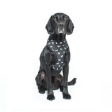 Mog And Bone Neoprene Harness Black Dog