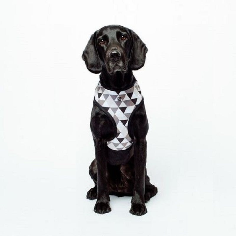Petsleisure Pet Collars & Harnesses