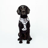 Mog And Bone Neoprene Harness Mocca Diamond