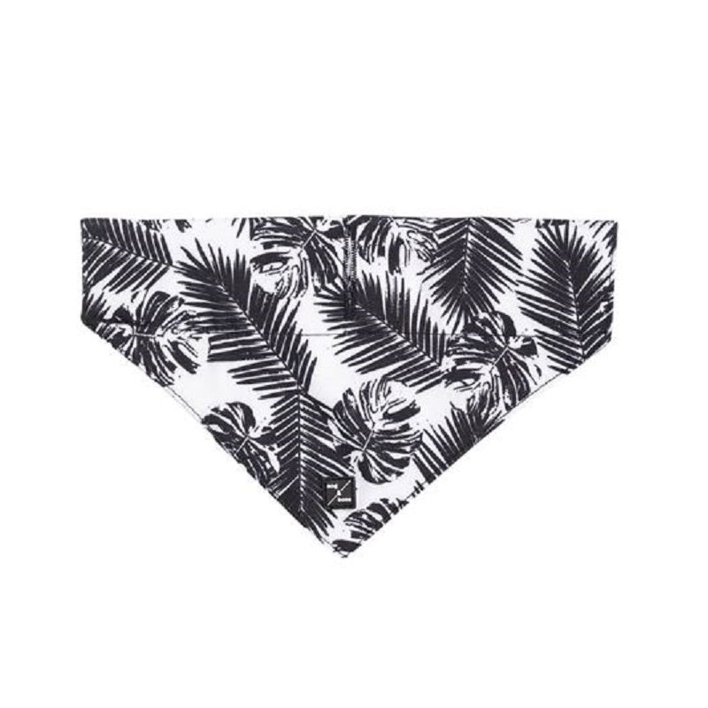 Petsleisure Pet Accessories