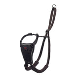 Petsleisure Pet Collars & Harnesses