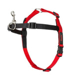 Petsleisure Pet Collars & Harnesses