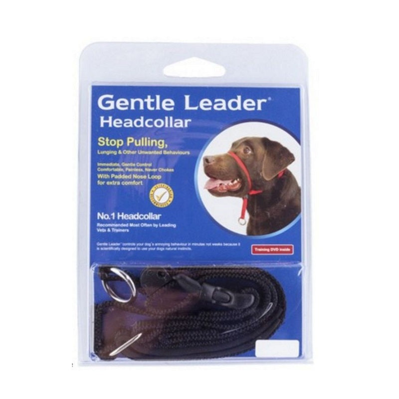 Petsleisure Pet Collars & Harnesses