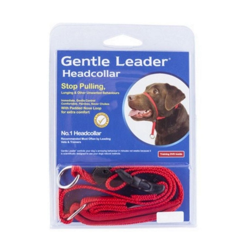 Petsleisure Pet Collars & Harnesses