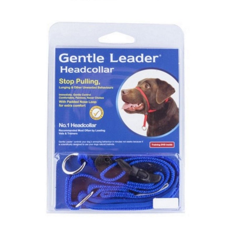 Petsleisure Pet Collars & Harnesses