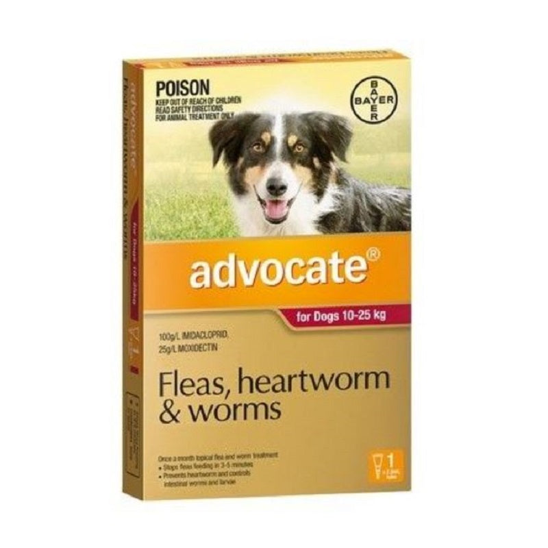 Advocate For Large Dogs (10-25kg) Advocate
