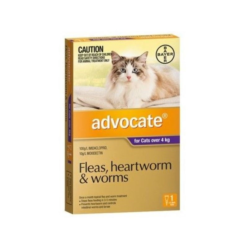 Advocate For Large Cats Over 4kg Advocate