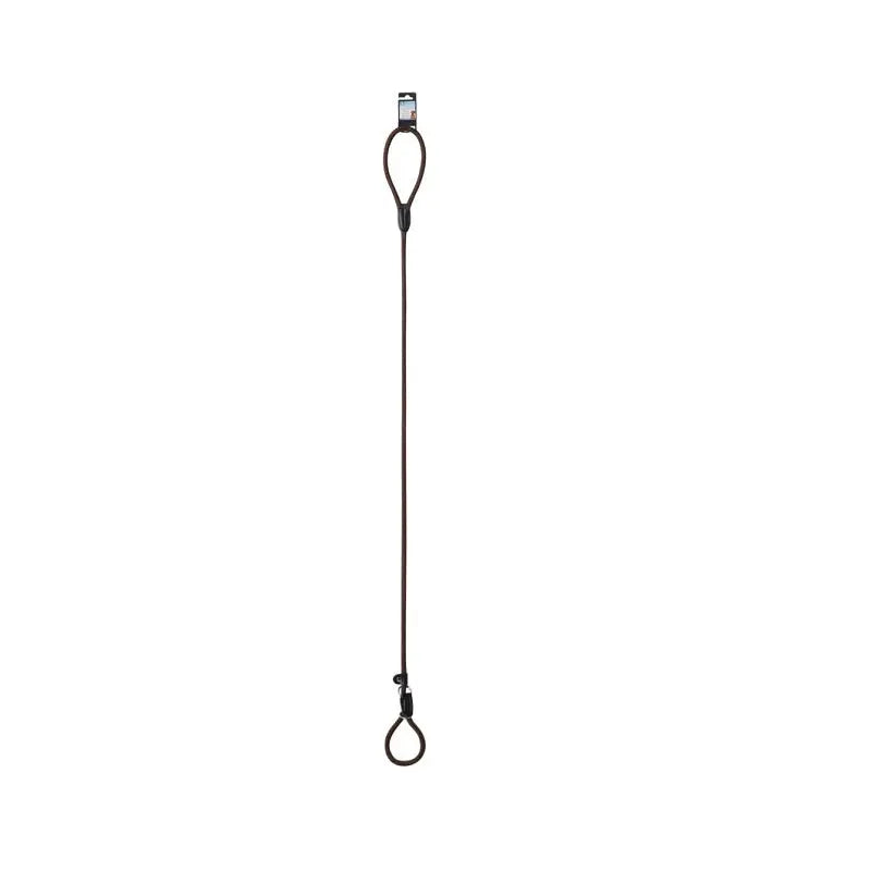 Petsleisure Pet Leashes