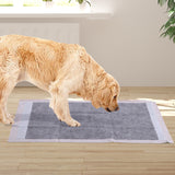 PaWz 400 Pcs 60x60cm Charcoal Pet Puppy Dog Toilet Training Pads Ultra Absorbent PaWz