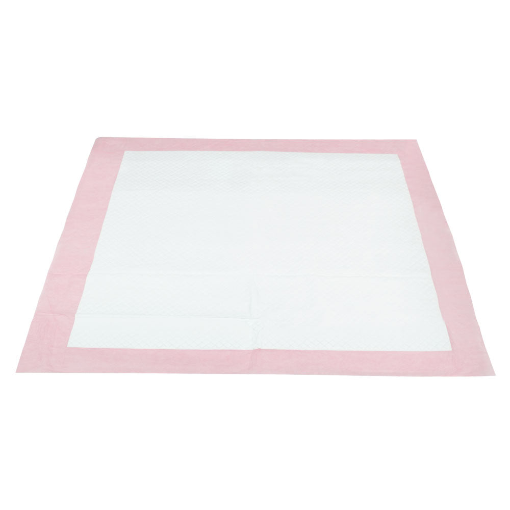 i.Pet Pet Training Pads 200 Puppy Dog Cat Toilet Indoor 60x60cm Super Absorbent i.Pet