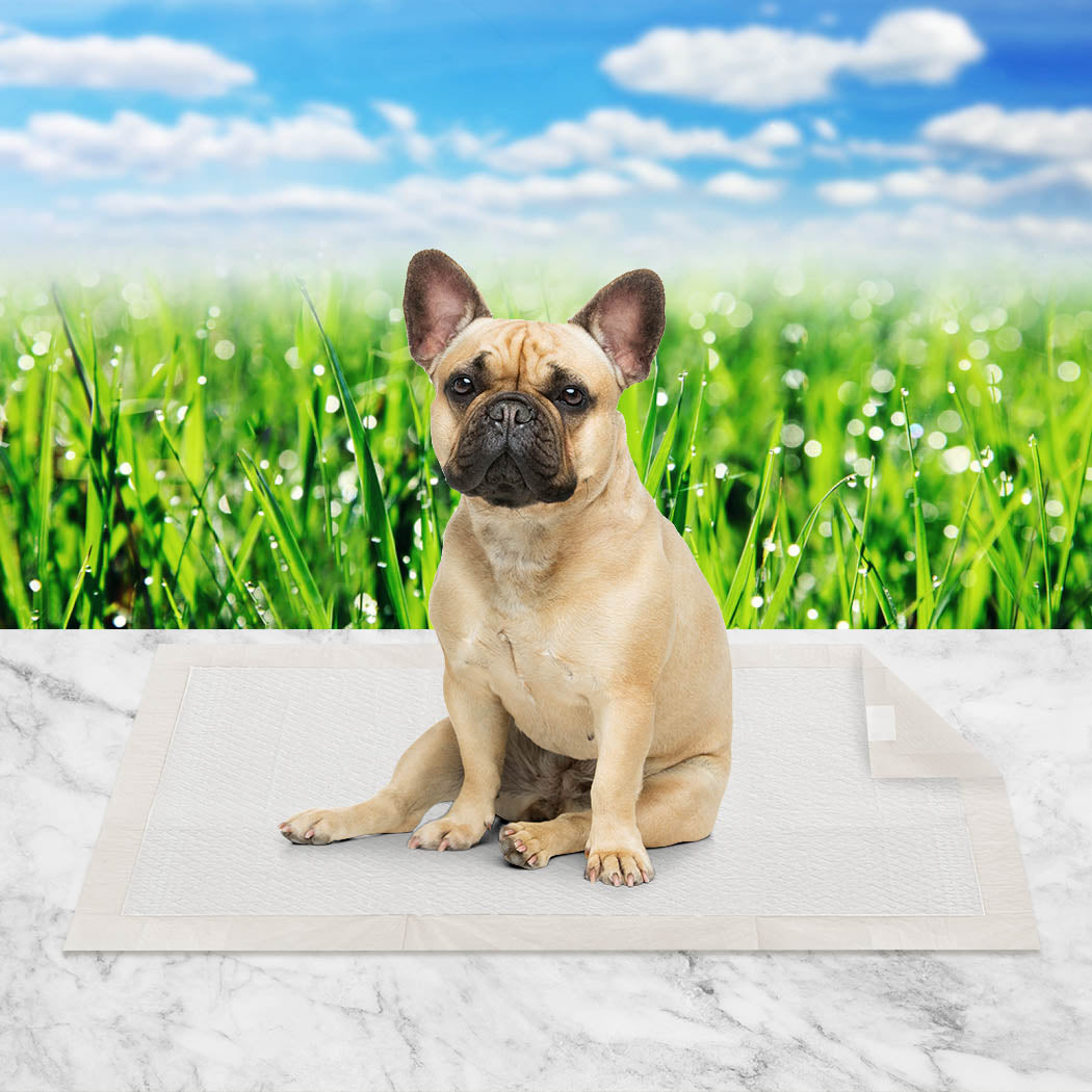 PaWz Pet Training Pads Puppy Dog Pads With Adhesive Tape Meadow Scent 100Pcs PaWz