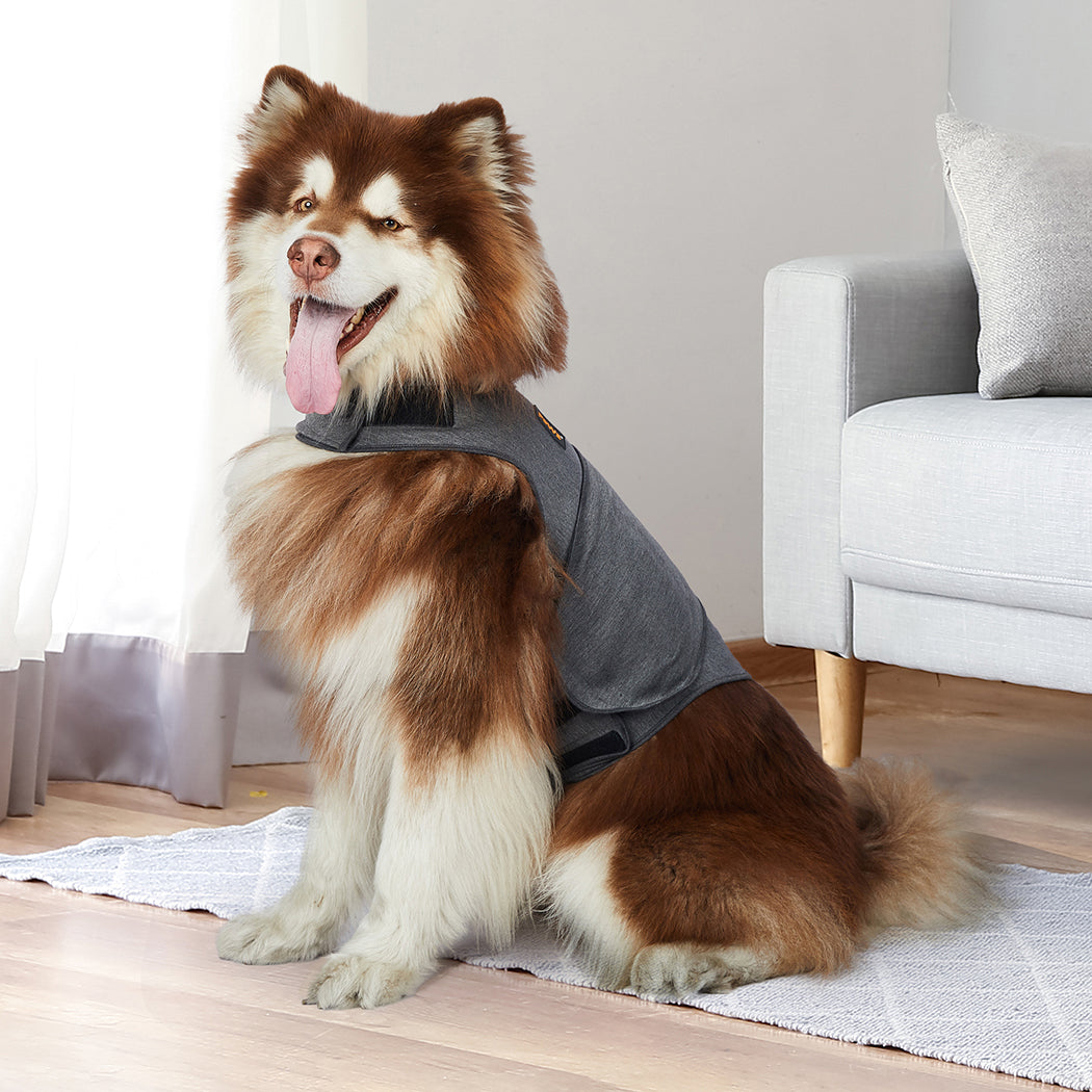 PaWz Dog Thunder Anxiety Jacket Vest Calming Pet Emotional Appeasing Cloth XXL PaWz