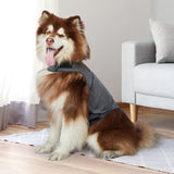 PaWz Dog Thunder Anxiety Jacket Vest Calming Pet Emotional Appeasing Cloth XXL PaWz