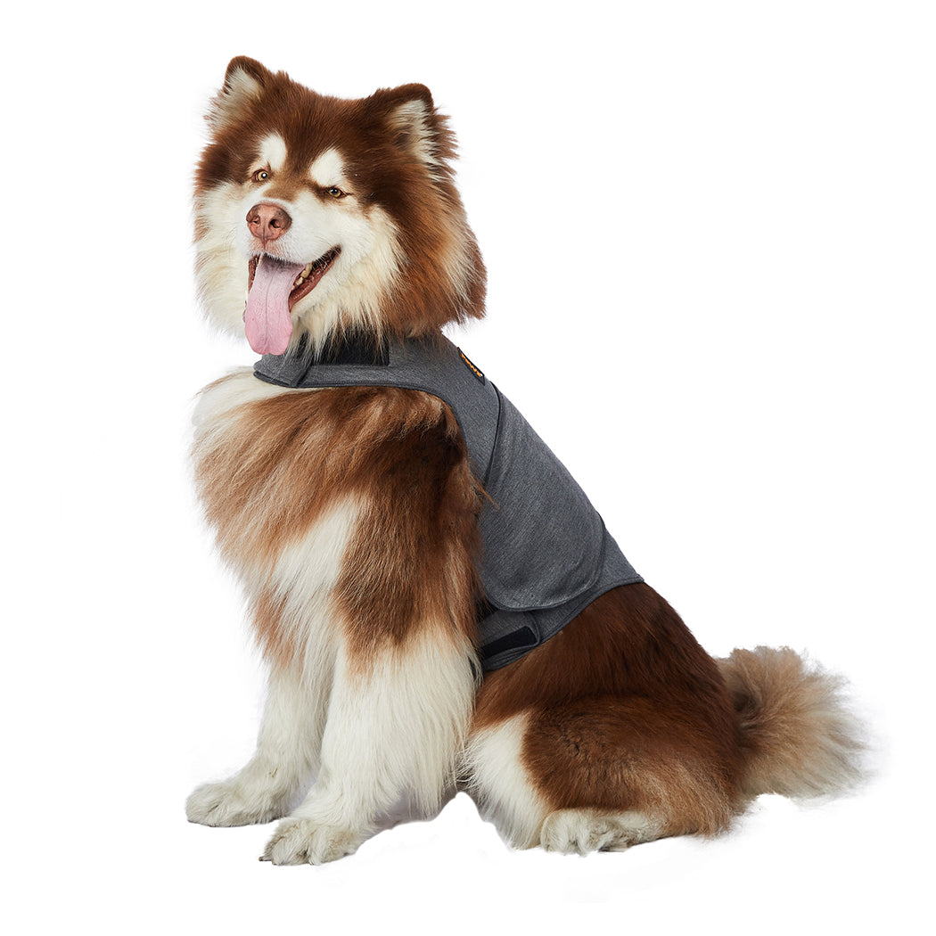 PaWz Dog Thunder Anxiety Jacket Vest Calming Pet Emotional Appeasing Cloth XXL PaWz