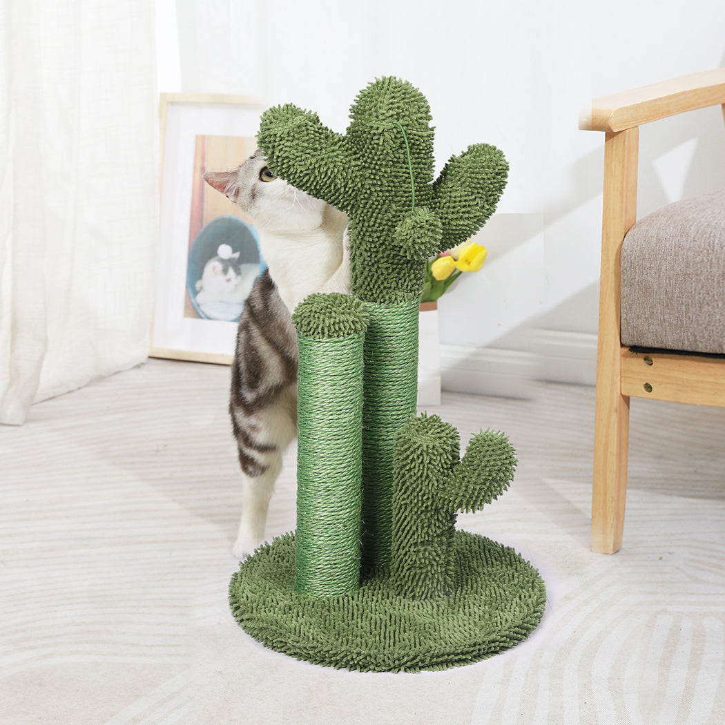 Cactus Cat Scratching Posts Pole Tree Kitten Climbing Scratcher Furniture Toys PaWz