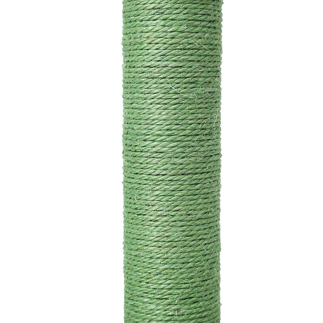 Cactus Cat Scratching Posts Pole Tree Kitten Climbing Scratcher Furniture Toys PaWz