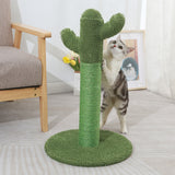 Cactus Cat Scratching Posts Pole Tree Kitten Climbing Scratcher Furniture Toys PaWz