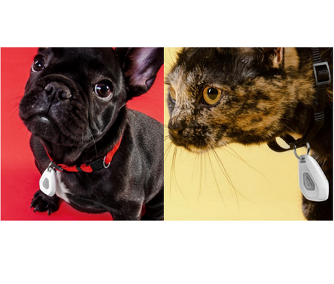 Mitey Tick Off For Pets Electronic Tick Repeller Mitey Tick Off