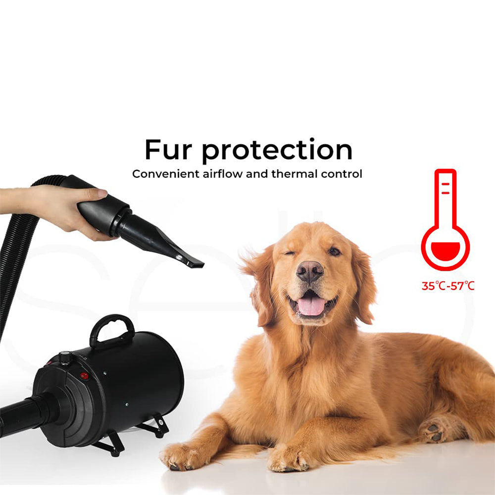 2800W Dog Dryer High Velocity Pet Dog Pet Blow Dryer Adjustable Speed 4 Nozzles Black Unbranded