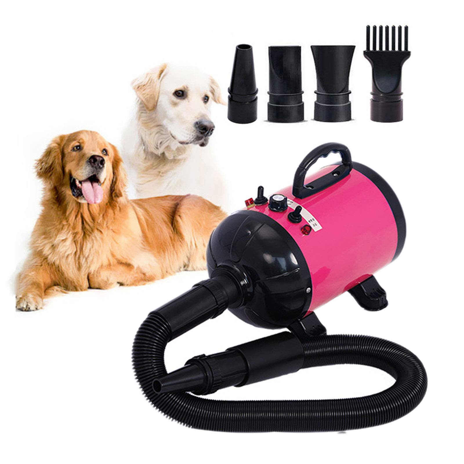 2800W Dog Dryer High Velocity Pet Dog Pet Blow Dryer Adjustable Speed 4 Nozzles Petsleisure