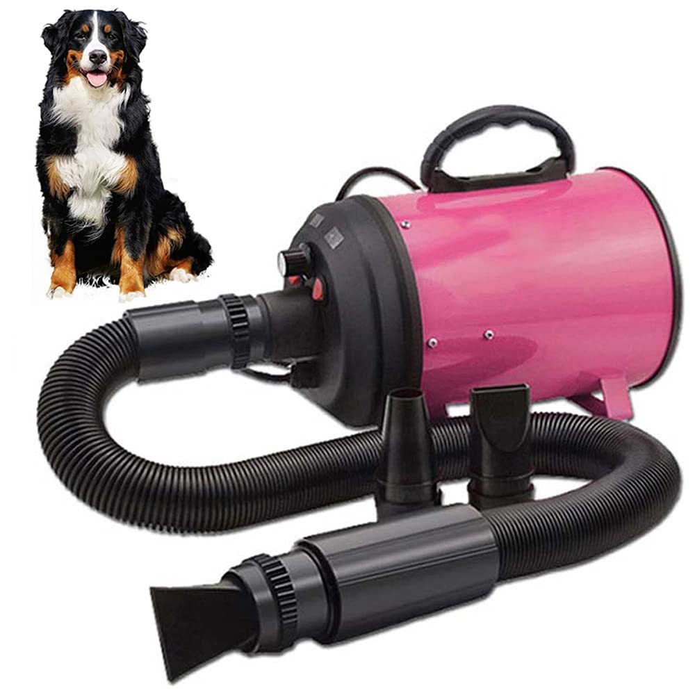 2800W Dog Dryer High Velocity Pet Dog Pet Blow Dryer Adjustable Speed 4 Nozzles Petsleisure