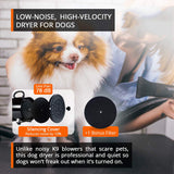 2800W Dog Dryer High Velocity Pet Dog Pet Blow Dryer Adjustable Speed 4 Nozzles Petsleisure