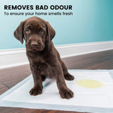 Floofi Pet Disposable Pads (50pcs) Floofi