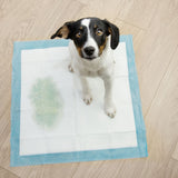 Floofi Pet Disposable Pads (50pcs) Floofi