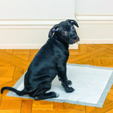 Floofi Pet Disposable Pads (50pcs) Floofi