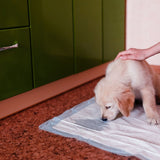Floofi Pet Disposable Pads (50pcs) Floofi