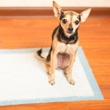 Floofi Pet Disposable Pads (50pcs) Floofi