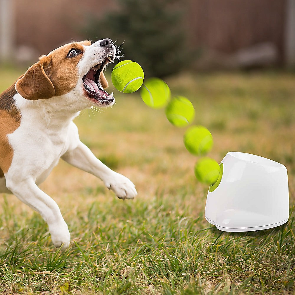 Dog Ball Launcher Thrower Automatic Tennis Fetch Throwing Machine 3 Balls Randy & Travis Machinery