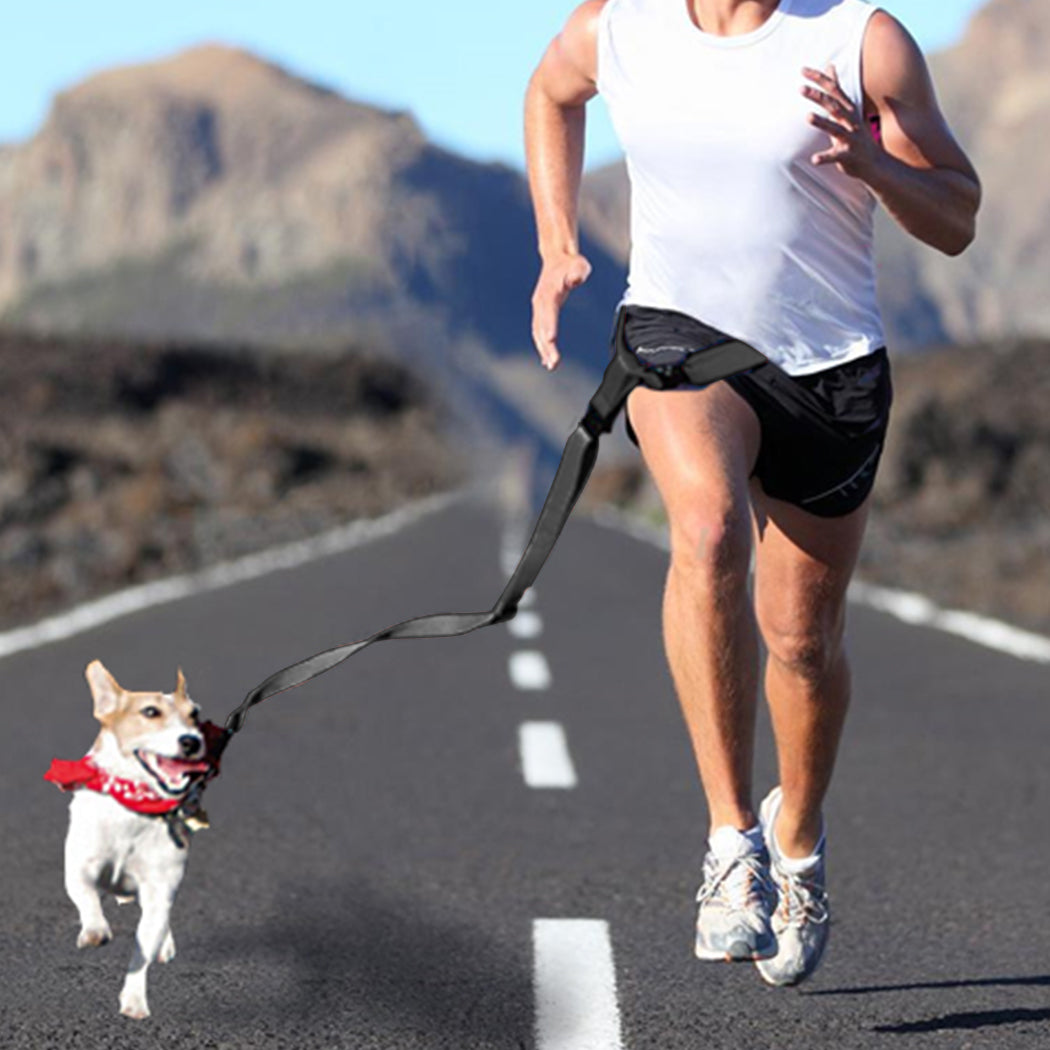 Adjustable Dog Hands Free Leash Waist Belt Buddy Jogging Walking Running Black Uniwide