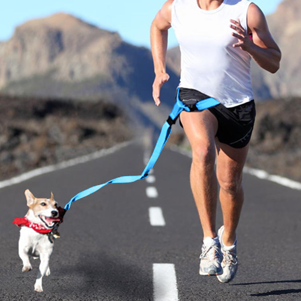 Adjustable Dog Hands Free Leash Waist Belt Buddy Jogging Walking Running Blue Uniwide
