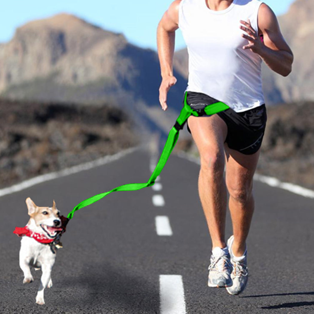 Adjustable Dog Hands Free Leash Waist Belt Buddy Jogging Walking Running Green Uniwide