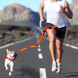 Adjustable Dog Hands Free Leash Waist Belt Buddy Jogging Walking Running Orange Uniwide