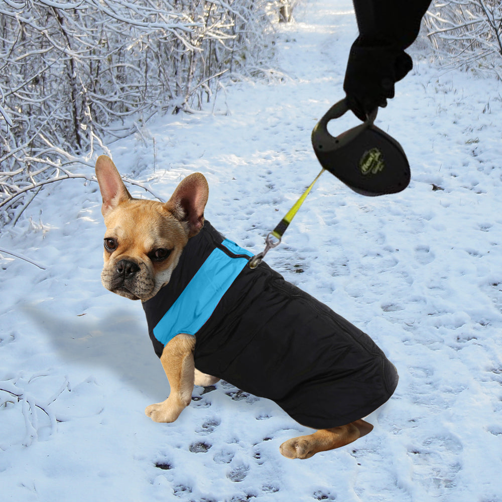 PaWz Dog Winter Jacket Padded Waterproof Pet Clothes Windbreaker Coat M Blue PaWz